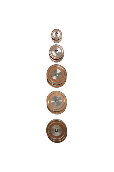 SET OF WOODEN DISC WEIGHTS (SET OF 2) - Matte silver by Zara