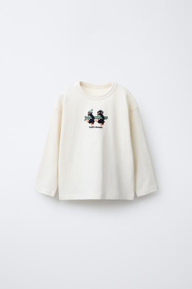 Zara {名称} - {颜色}