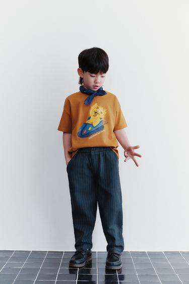 Zara {名称} - {颜色}