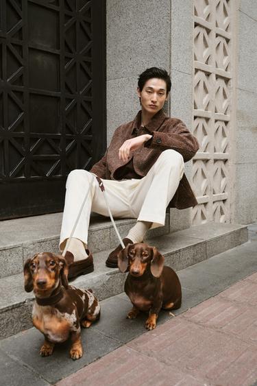 BRUSHED SUEDE LEATHER JACKET - Clay by Zara