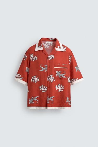 Zara {名称} - {颜色}