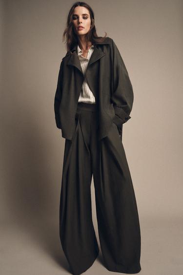 ZW COLLECTION FRONT PLEAT TROUSERS - Brown / Taupe by Zara - Image 0