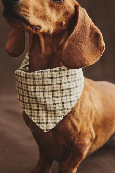 CHECK COTTON AND LINEN PET BANDANA - Green by Zara
