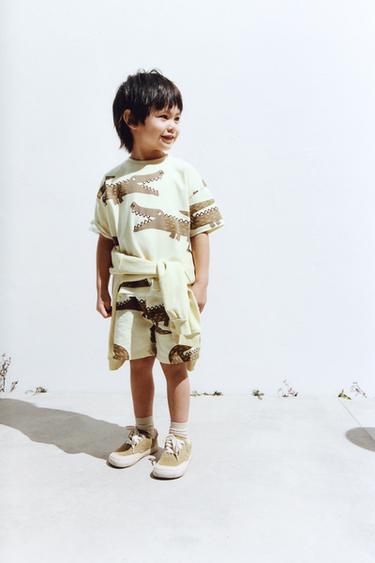 Zara {名称} - {颜色}