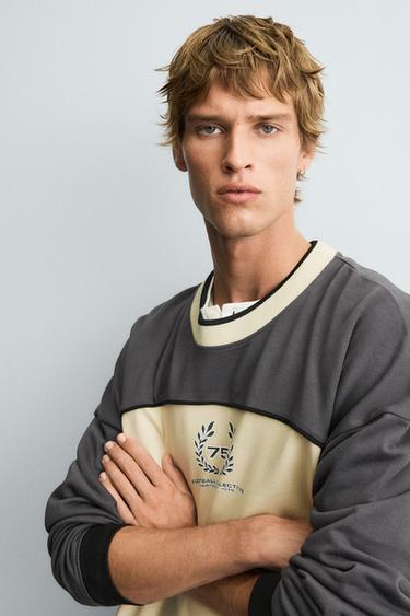 Zara {名称} - {颜色}