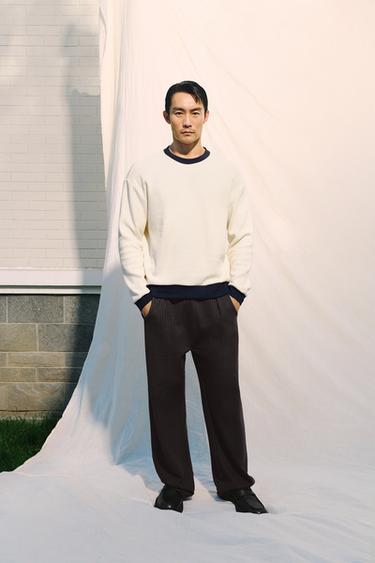 Zara {名称} - {颜色}