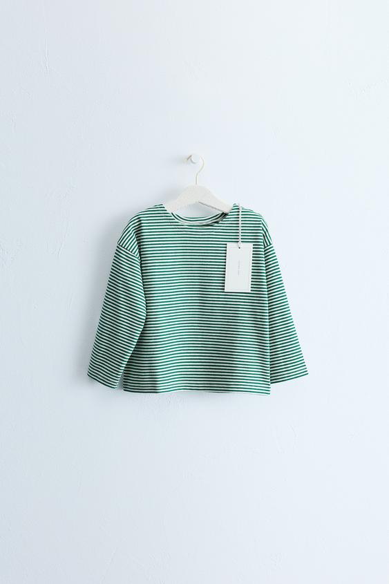 ZARA TIMELESS - STRIPE PRINT T-SHIRT - Green by Zara - Image 0
