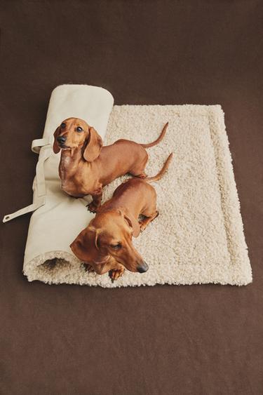 ROLL-UP FLOOR PET BLANKET - Beige by Zara