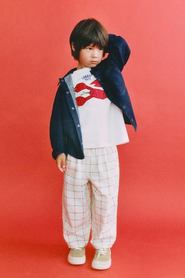 Zara {名称} - {颜色}