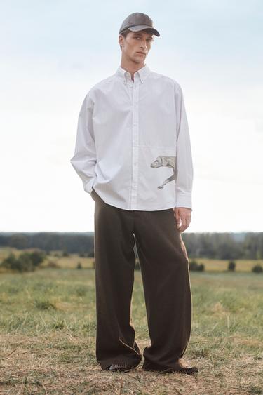 Zara {名称} - {颜色}