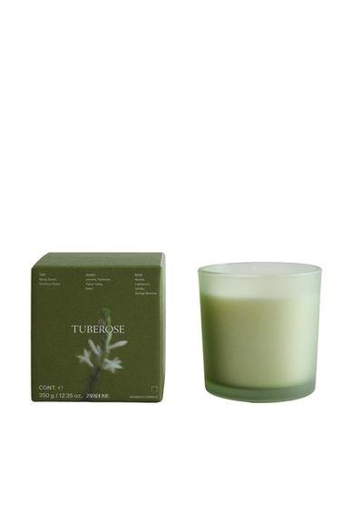 (350 G) TUBEROSE SCENTED CANDLE - Purple by Zara