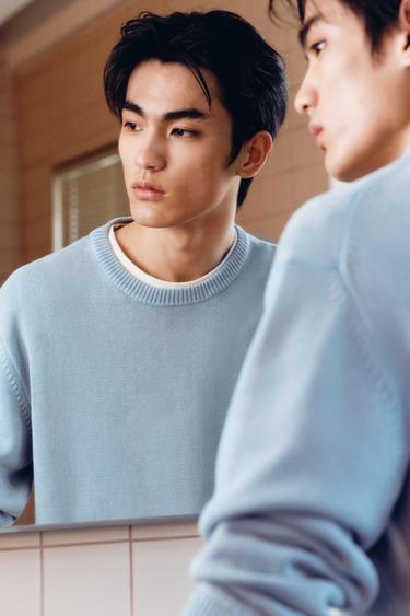 Zara {名称} - {颜色}