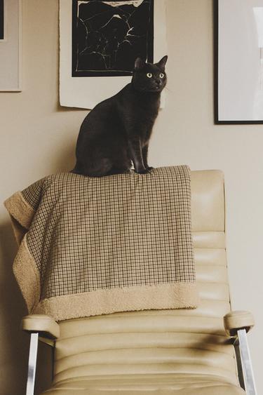 SMALL CHECK PET THROW - Ecru by Zara