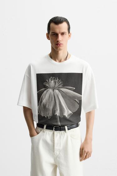 PHOTOGRAPHIC PRINT T-SHIRT - Oyster-white by Zara