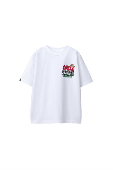 Zara {名称} - {颜色}