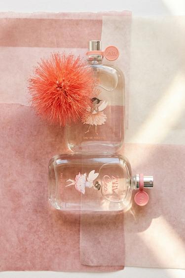 Zara {名称} - {颜色}