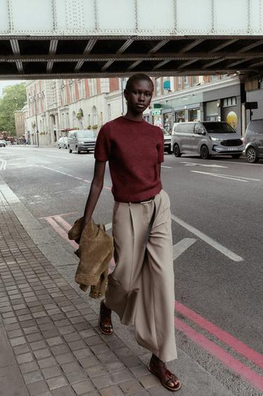 SHORT SLEEVE KNIT JUMPER - Burgundy by Zara