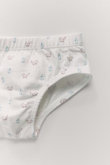 1 1/2-6 YEARS / SIX-PACK OF ANIMAL PRINT BRIEFS - Multicoloured by Zara