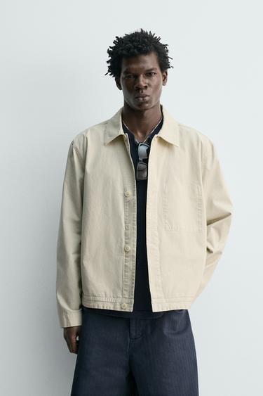 Zara {名称} - {颜色}