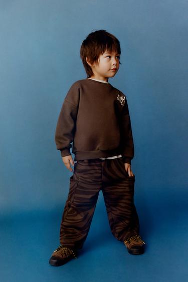 Zara {名称} - {颜色}