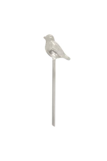 BIRD SELF-WATERING GARDEN BUBBLE - Transparent by Zara