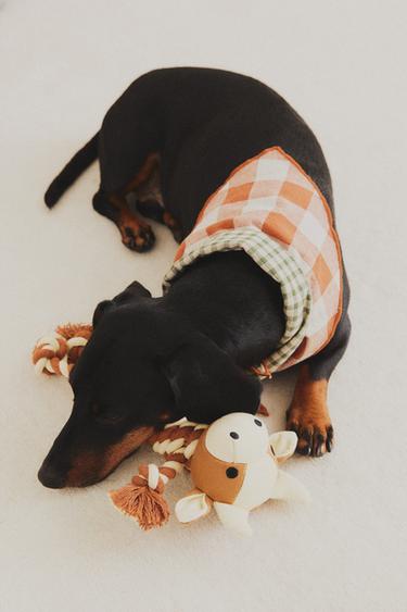REVERSIBLE CHECK PET BANDANA - Orange by Zara