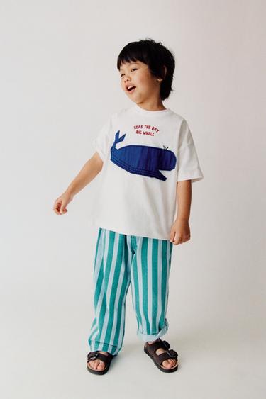 Zara {名称} - {颜色}