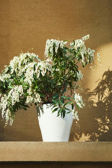 STONEWARE GARDEN PLANTER WITH IRREGULAR EDGE - Oyster-white by Zara
