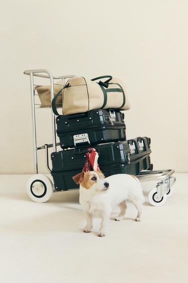 SET - Navys / Ecrus by Zara