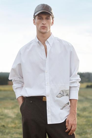 Zara {名称} - {颜色}