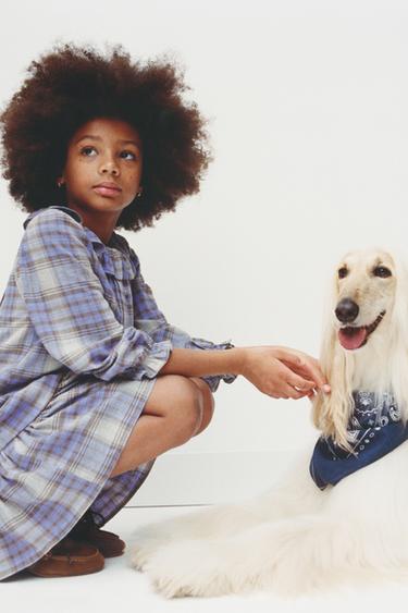 Zara {名称} - {颜色}