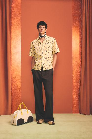 Zara {名称} - {颜色} - 0 图片