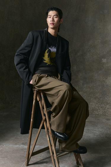 Zara {名称} - {颜色} - 0 图片