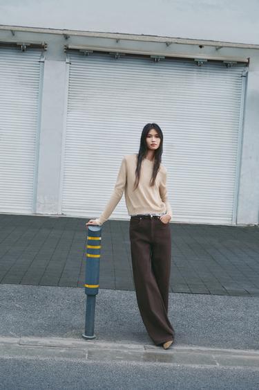 WOOL BLEND KNIT JUMPER - Sand by Zara