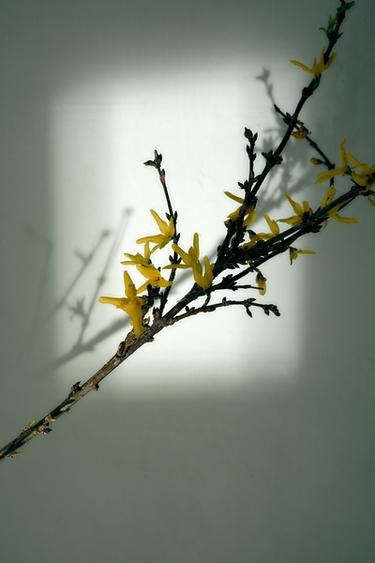 AMBER FUSION EDP 80ML (2.71 FL. OZ). - TINTED LEATHER by Zara