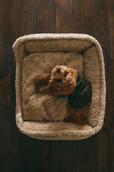 FAUX SHEARLING PET BED - Beige by Zara