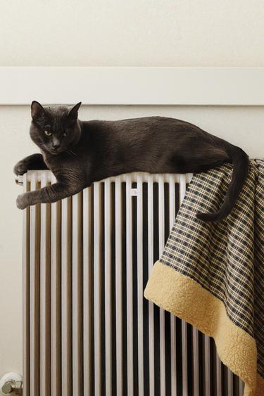 GINGHAM PET BLANKET - Blue by Zara