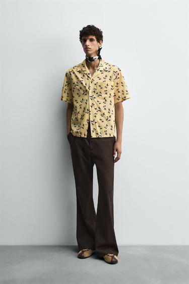 Zara {名称} - {颜色} - 0 图片
