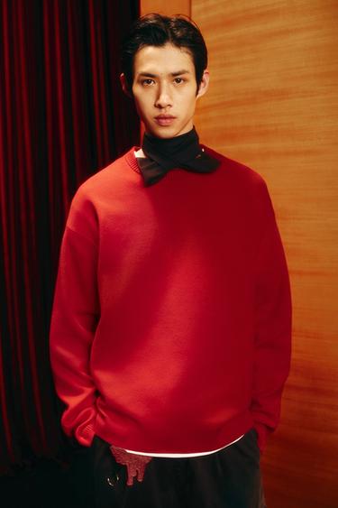 SOFT REGULAR FIT JUMPER - Red by Zara