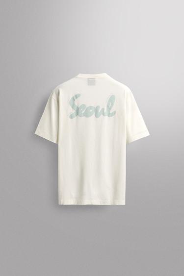 Zara {名称} - {颜色}