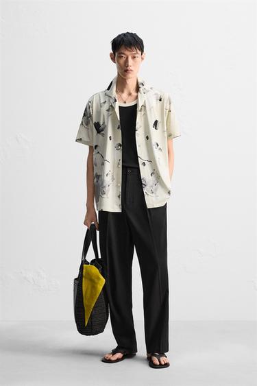 Zara {名称} - {颜色}