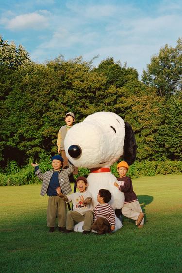 Zara {名称} - {颜色}