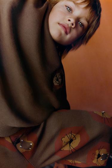 Zara {名称} - {颜色}