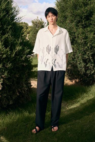 Zara {名称} - {颜色}