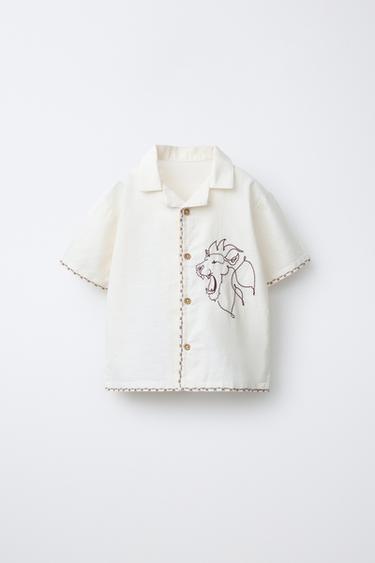 Zara {名称} - {颜色}