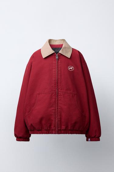 Zara {名称} - {颜色} - 0 图片