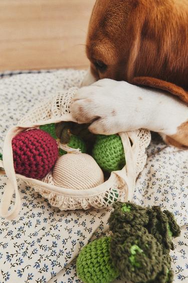 PACK OF VEGETABLE PET TOYS - Green by Zara