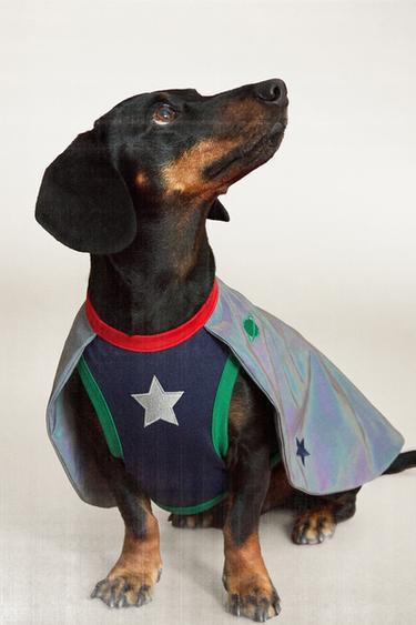 REFLECTIVE SPACE INSPIRED PET COSTUME - Multicoloured by Zara