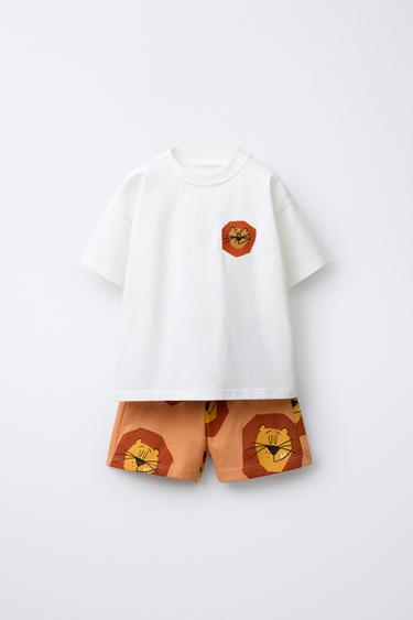 Zara {名称} - {颜色}