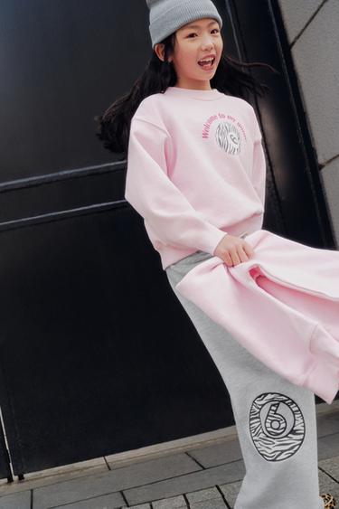 ZEBRA BILLIARD BALL PRINT SWEATSHIRT - Pink by Zara